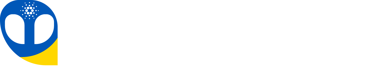 CardanoBI logo
