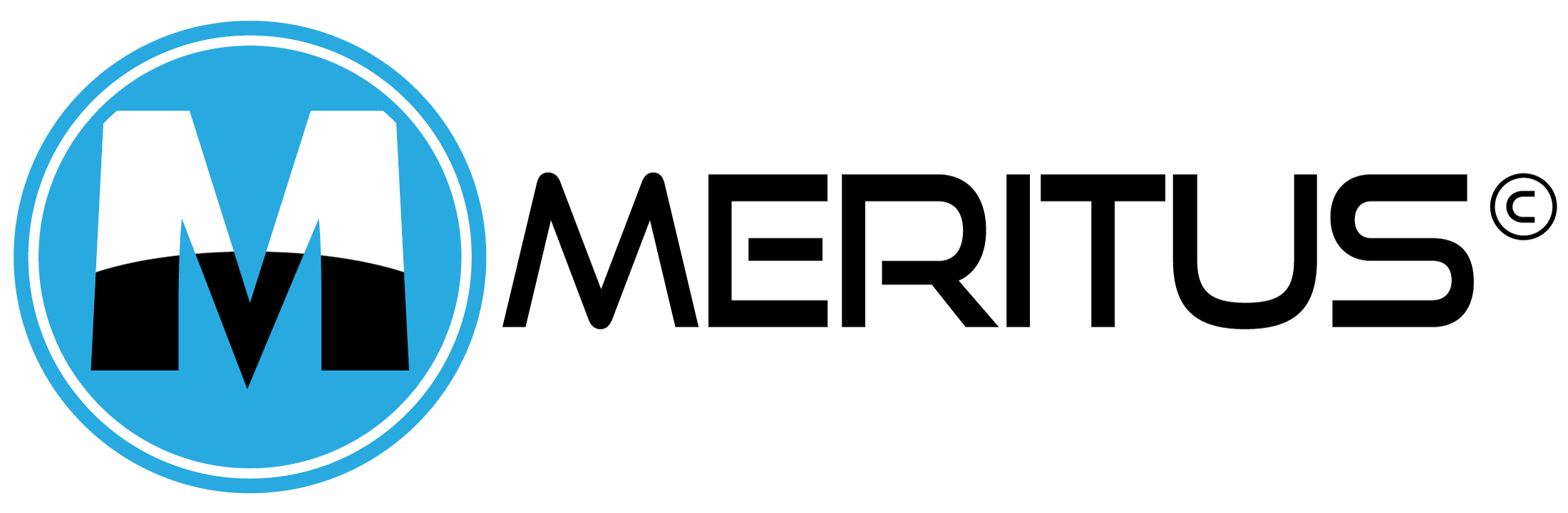 MERIT logo