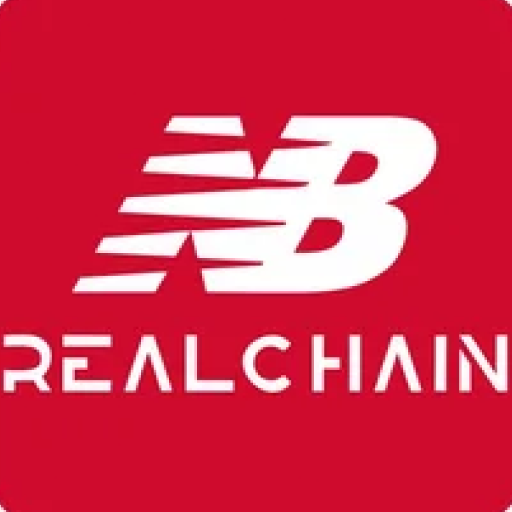 NB Realchain logo